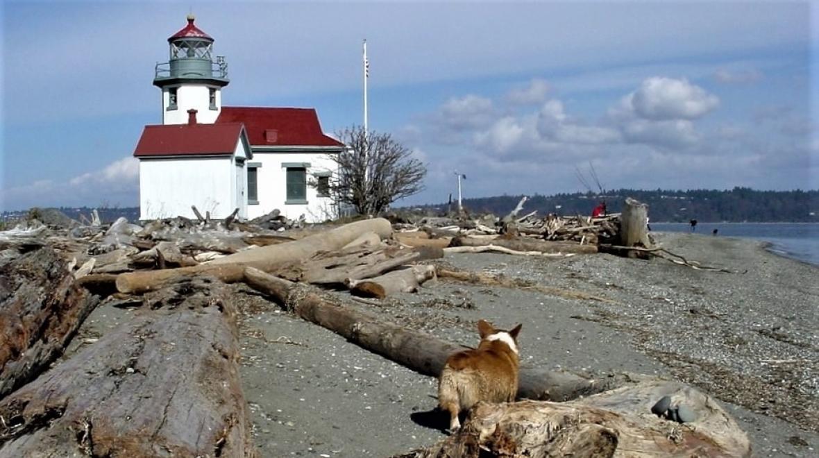 Point Robinson Lighthouse on Vashon Island near Seattle, Washington, show with beach in front and a dog with people visible in the distance