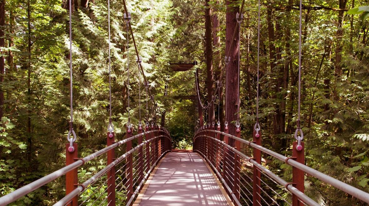 The suspension bridge at Bellevue Botanical Garden's ravine, a favorite family-friendly hike near Seattle