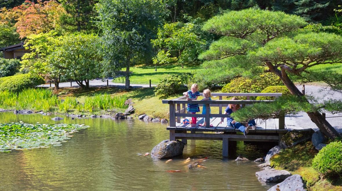 Seattle Japanese Garden a family looks into the koi pond during a spring visit