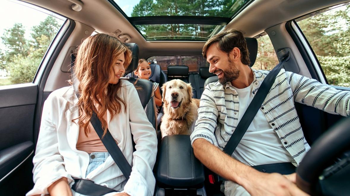 Family and their dog sit in a car buckled up ready to go on a family road trip best seattle family road trip itineraries family fun with kids
