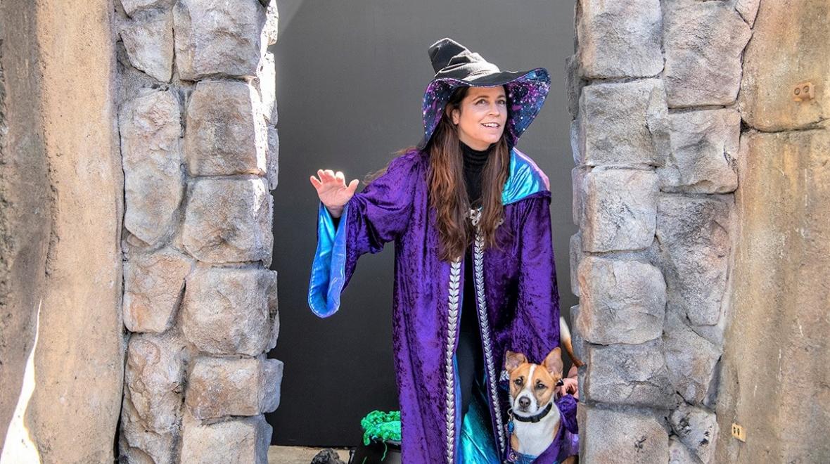 Rocket the rescue dog stars in Point Defiance Zoo & Aquarium's new Wild Wonders Outdoor Theater animal show reopening for Puget Sound-area families
