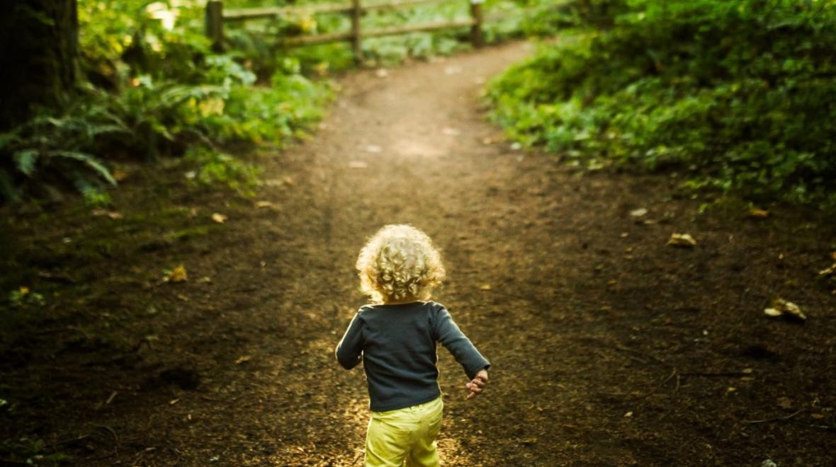 Curly haired toddler hiking away from camera with sunshine filtering through trees best hikes for little kids seattle bellevue eastside
