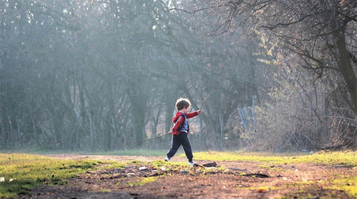 Boy walking in nature with a stick