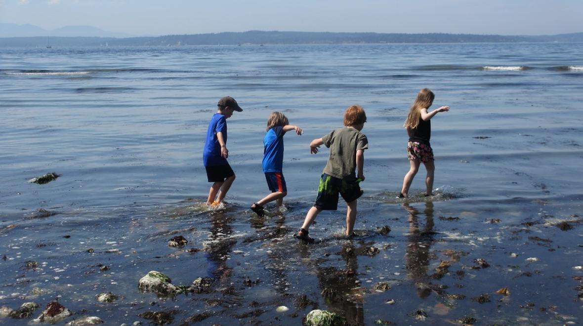 Kids wade in shallow water at Carkeek Park in Seattle during a low tide free and cheap summer adventures for Seattle-area kids and families