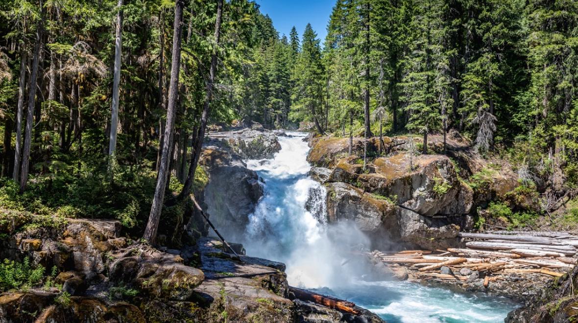 Silver Falls at Mount Rainier easy Rainier hike for families with kids from Seattle and Western Washington