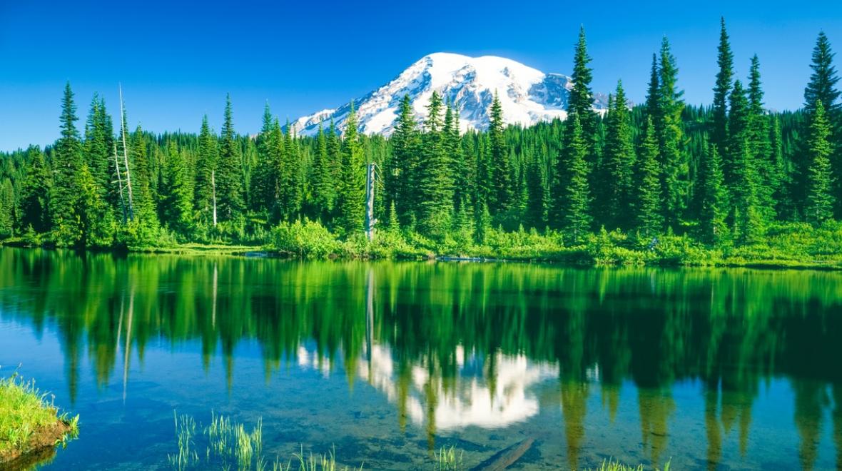 Beautiful Mount Rainier in Washington near Seattle short hikes for kids and families beautiful reflection lake