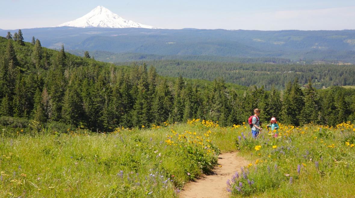 Two children hiking on a path with wild flowers on either side, view of Mt. Hood behind them