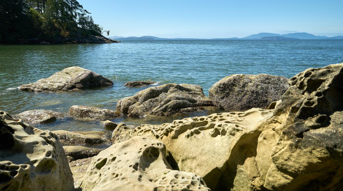 Bellingham's Larrabee State Park has rocky and sandy shoreline plus trails, woods, camping and views of Bellingham Bay