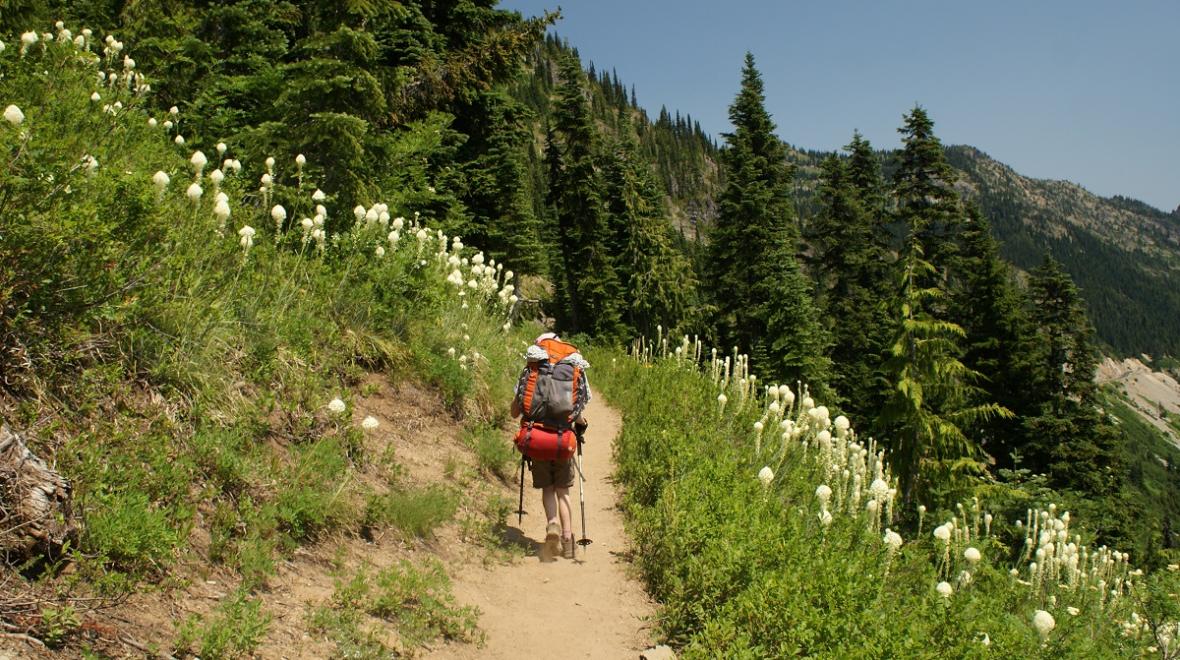 A kid hiker along the trail to Sheep lake near Mount Rainier best wildflower hikes for Seattle families