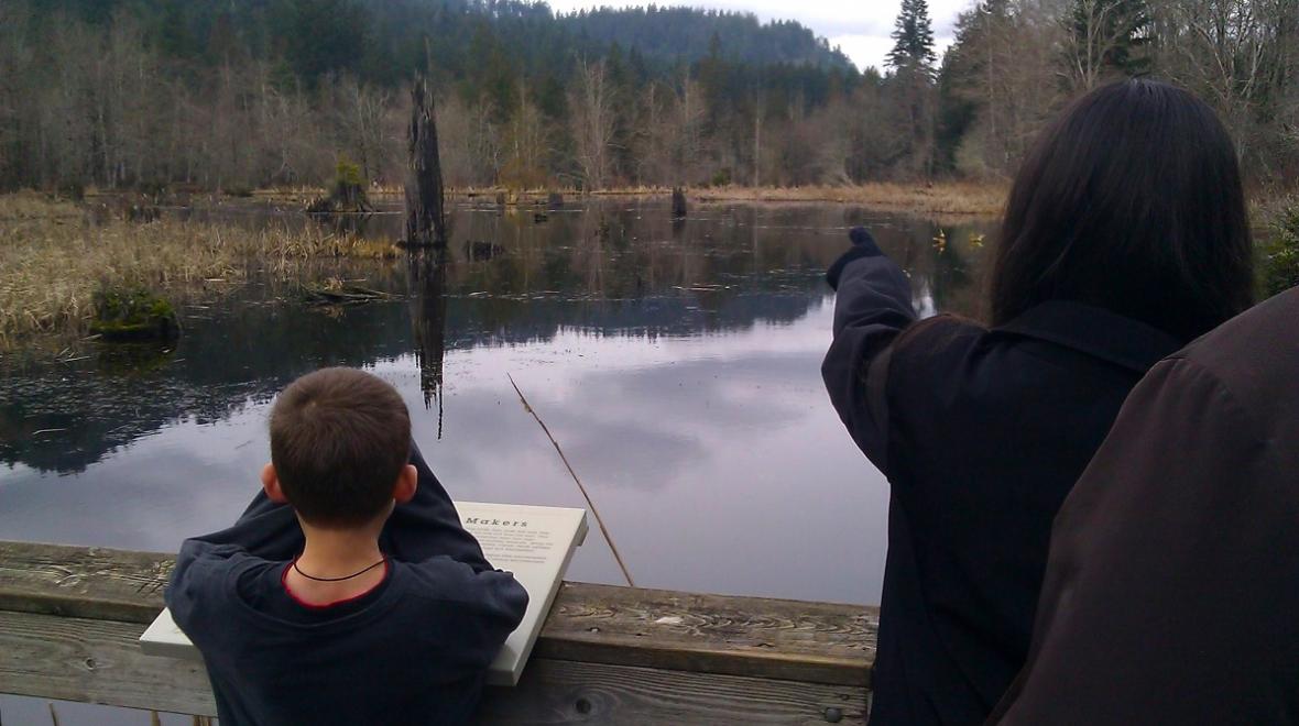 mclane creek nature trail capitol state forest near olympia best kid and family fall hikes south sound