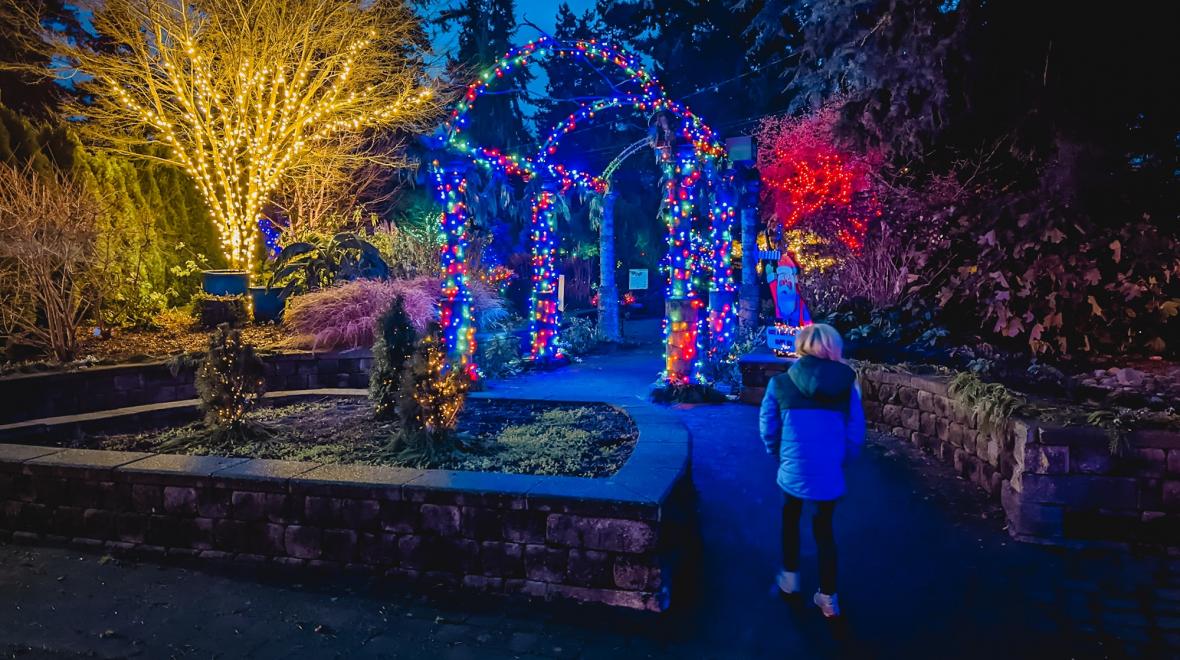 Wintertide lights at the evergreen arboretum in Everett washington best family lights shows for winter holidays near seattle