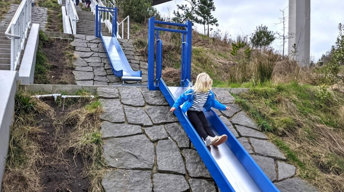 A girl slides down one of the series of hillside slides at the newer section of tacoma's point defiance park called Dune Peninsula among fun adventure playgrounds in the greater Seattle area 