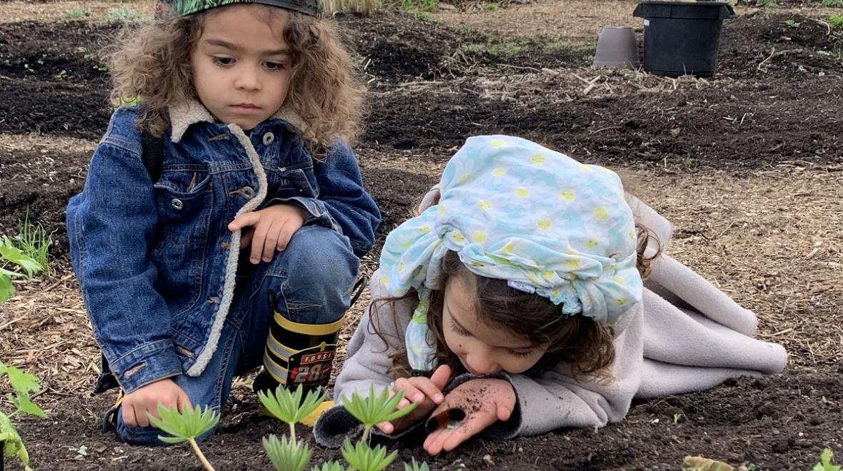 Kids inspect plantings in the garden at the Bellevue Urban Garden called tBUG among farms for Seattle families to visit