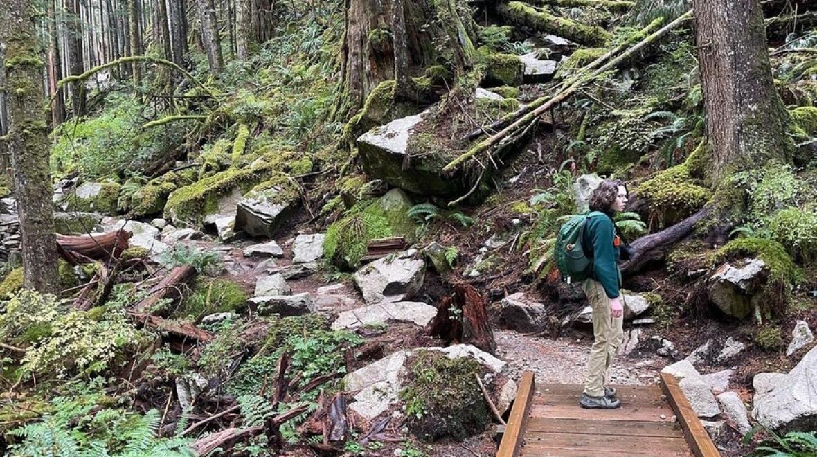 Child standing near a wooden bridge in the forest