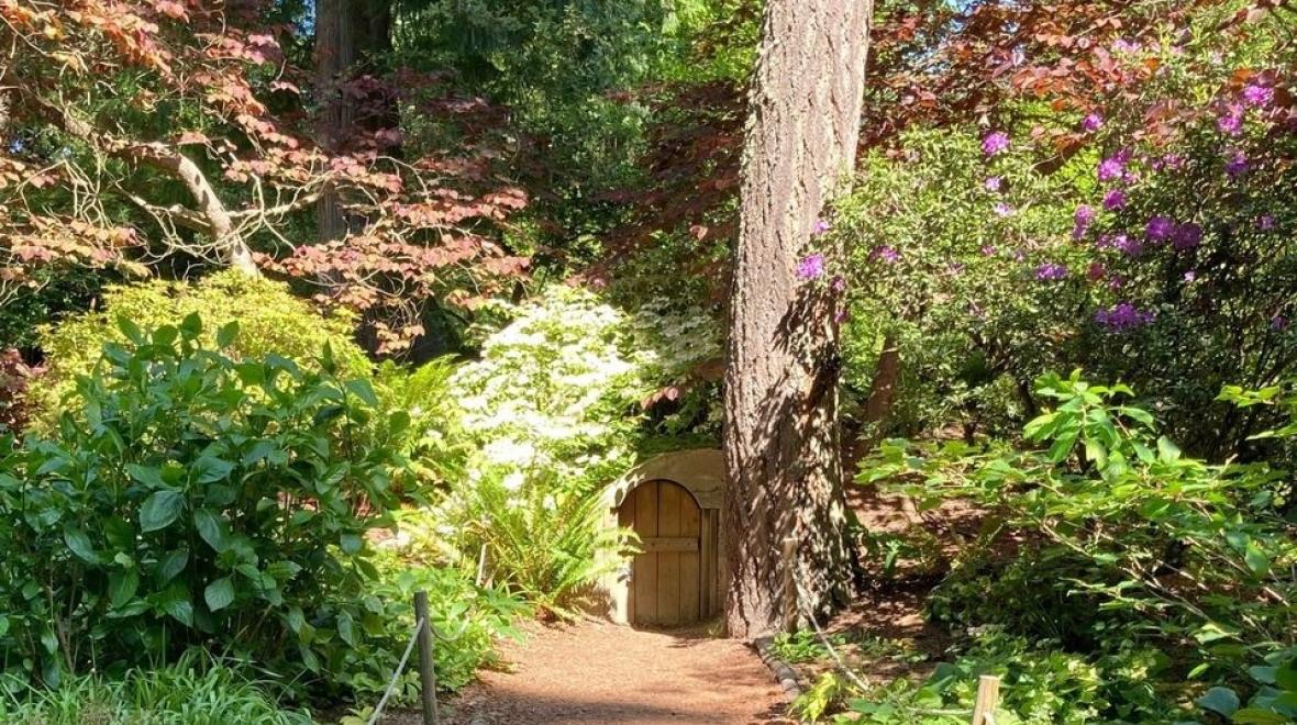 A hidden hobbit door is a fun find for kids while visiting bellevue botanical garden near Seattle