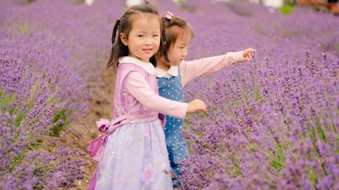 Two girls in a lavender field near Seattle perhaps enjoying the Sequim Lavender Festival