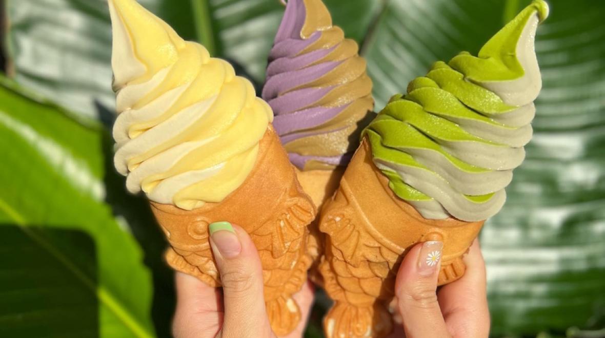 Ice cream in cones shaped like fish from Matcha Man Ice Cream Co. one of the best ice cream in seattle places to visit