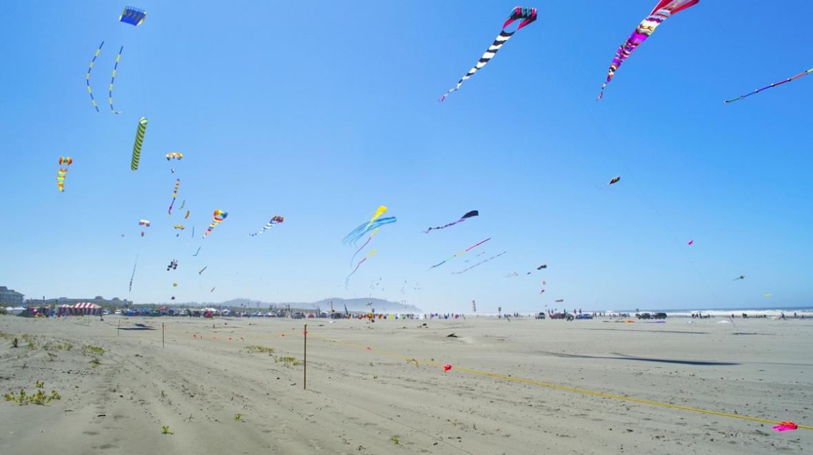 Many kites flying at the International Kite Festival in Long Beach, Washington