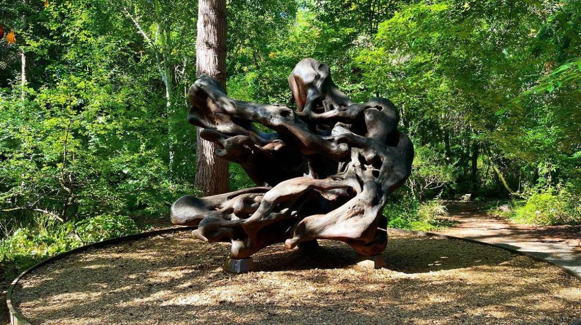 Kruckeberg Botanic Garden in Shoreline near Seattle is a fun place to explore with kids, especially its sculpture called Wood Wave that kids can climb on
