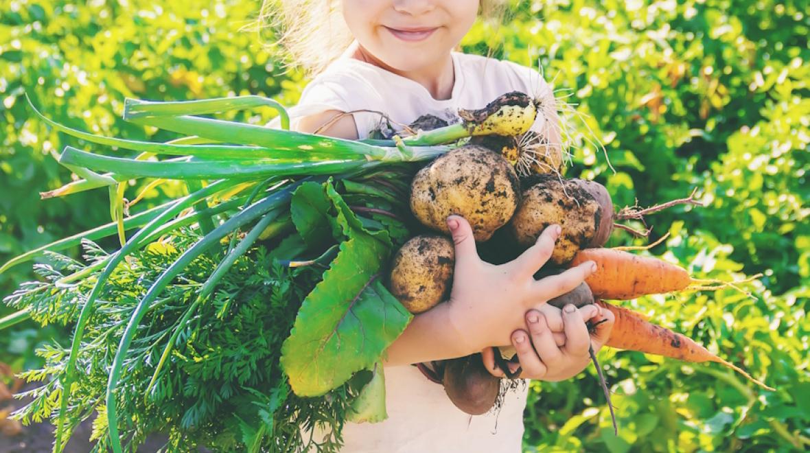 Young girl holding root veggies from a fall or winter CSA