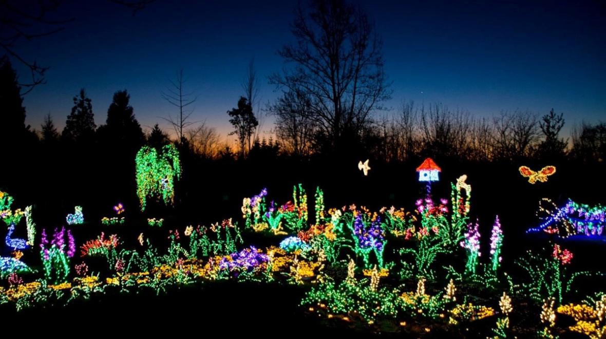 Lighted garden display at Bellevue Botanical Garden’s Garden d’Lights winter light show back for 2022