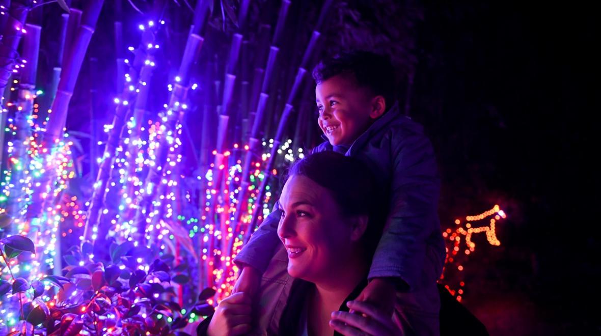 Holiday lights displays Seattle Tacoma Bellevue sparkling holiday fun mom and boy at Zoolights at Point Defiance Zoo & Aquarium
