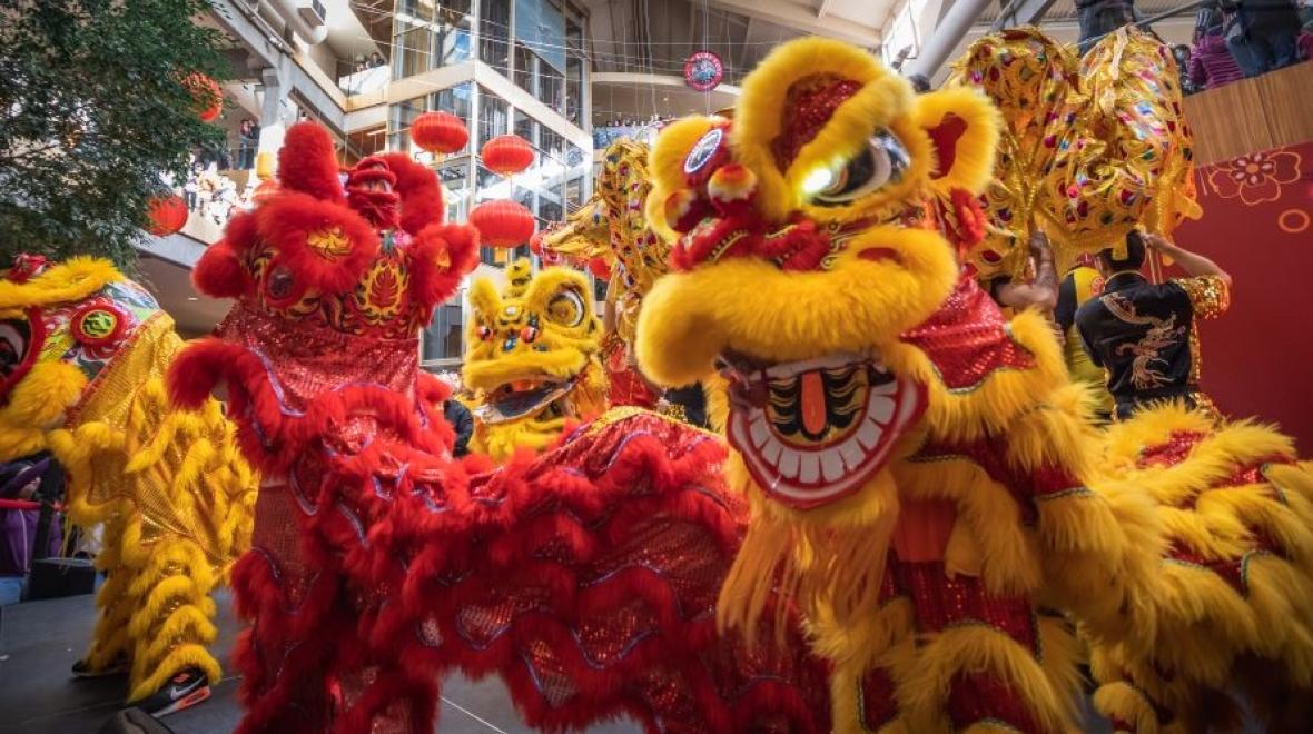 Yellow and red lions at traditional Chinese lion dance lunar new year celebrations Seattle families 2024