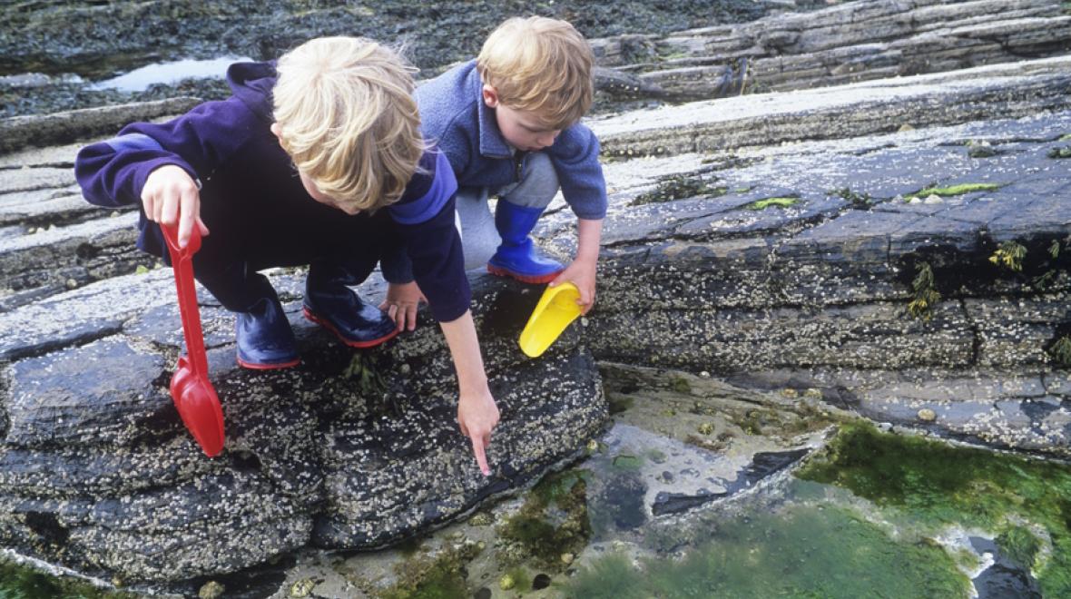 Two kids looking down into a Pacific northwest tide pool