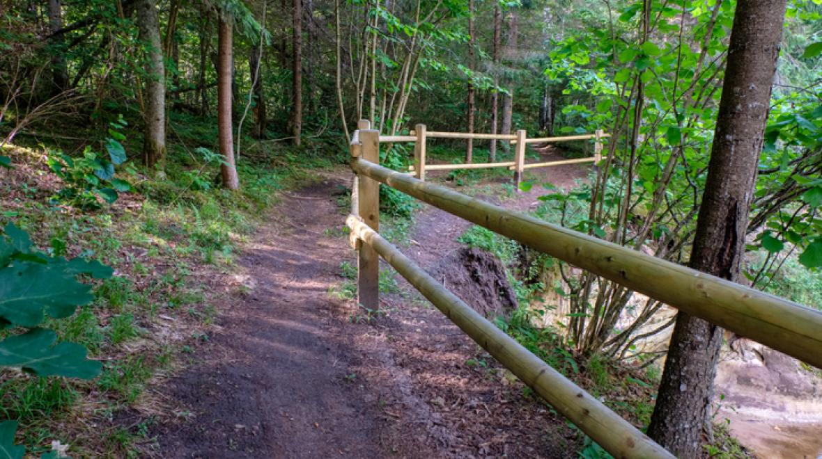 A trail in Lewis Creek Park in Bellevue is a great place to hike with kids in seattle 