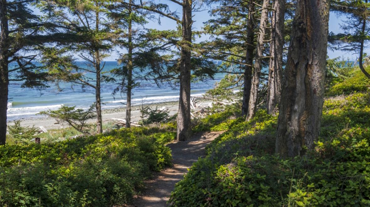 A path through the forest at Fort Ebey State Park Whidbey Island things to do with kids