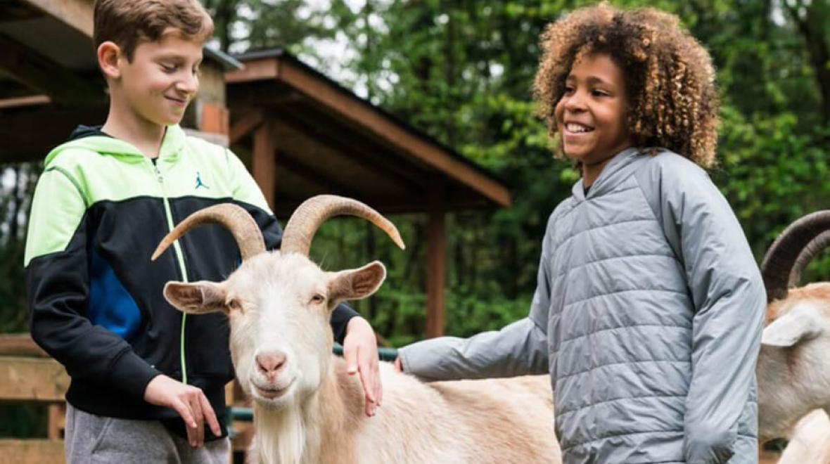 two boys petting a goat at Pasado’s Safe Haven