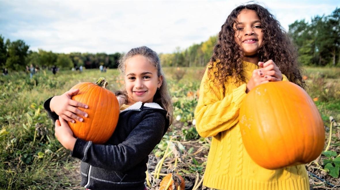 Girls holding pumpkins at a pumpkin farm
