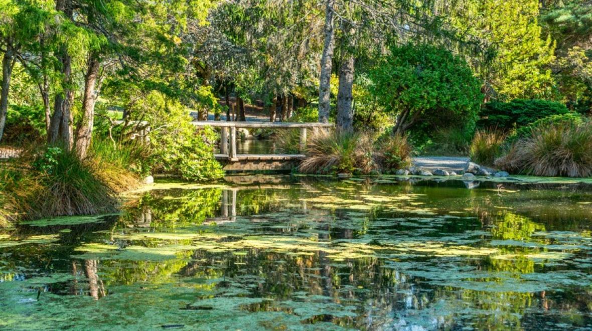 A view of the pond at Point Defiance Park in Tacoma, a nearby nature walk for families