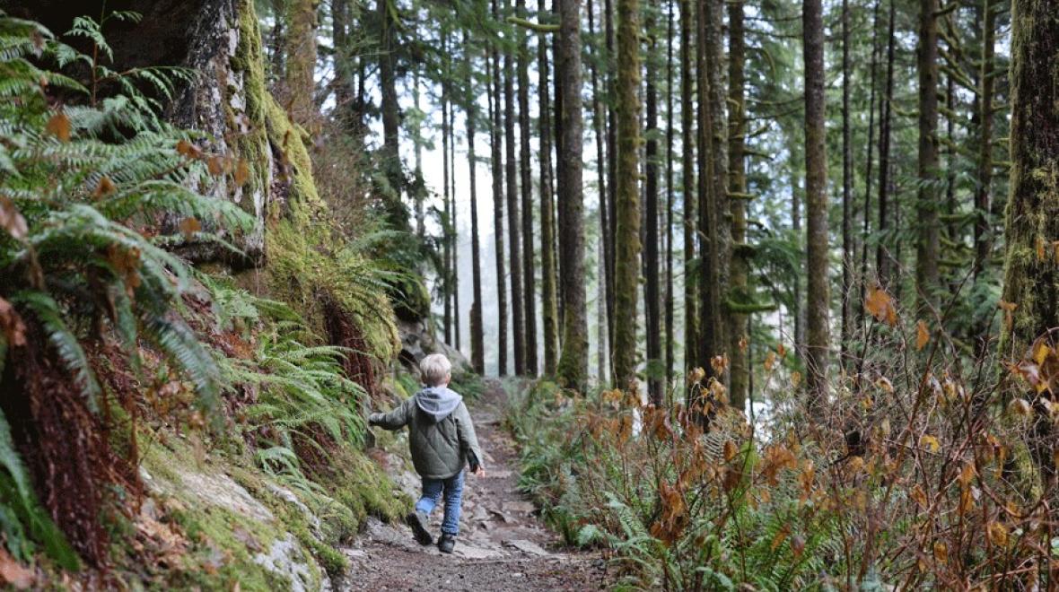 young boy hiking on the trail at Middle Fork, a fun outdoor activity for Seattle families during winter break