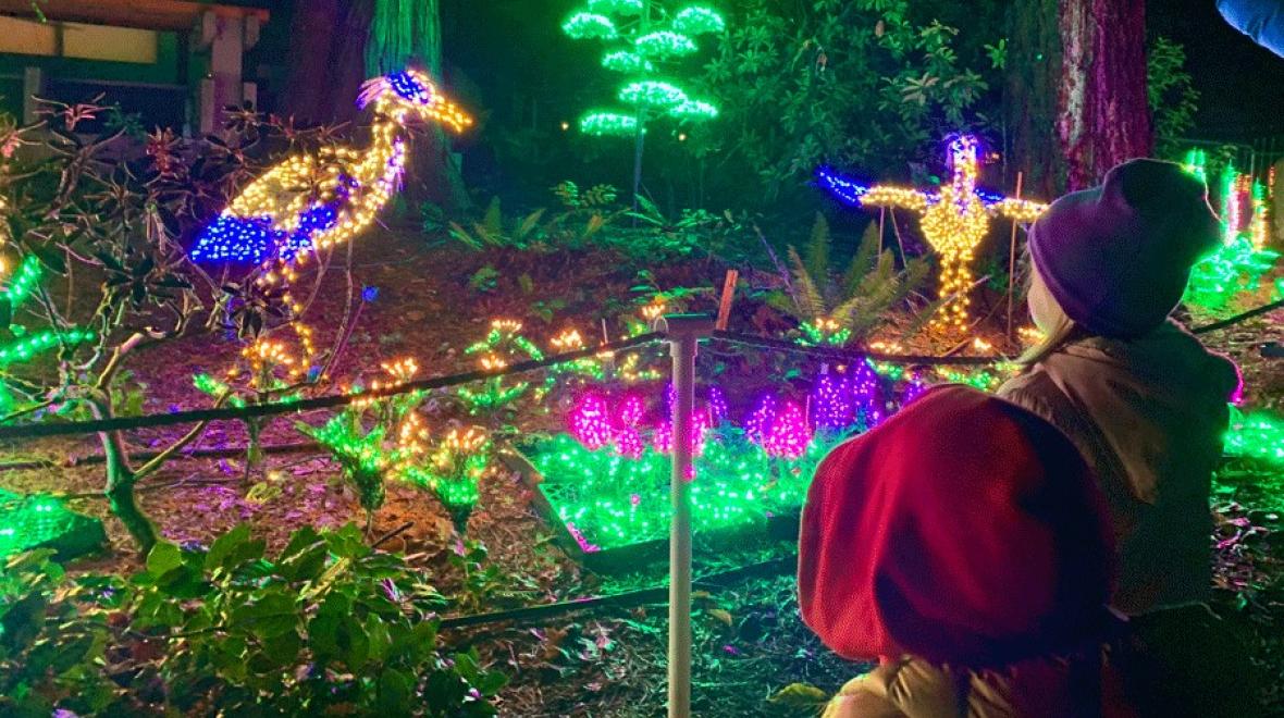 Young kids admiring holiday light displays at Bellevue's Garden D'lights, a local seasonal attraction for families