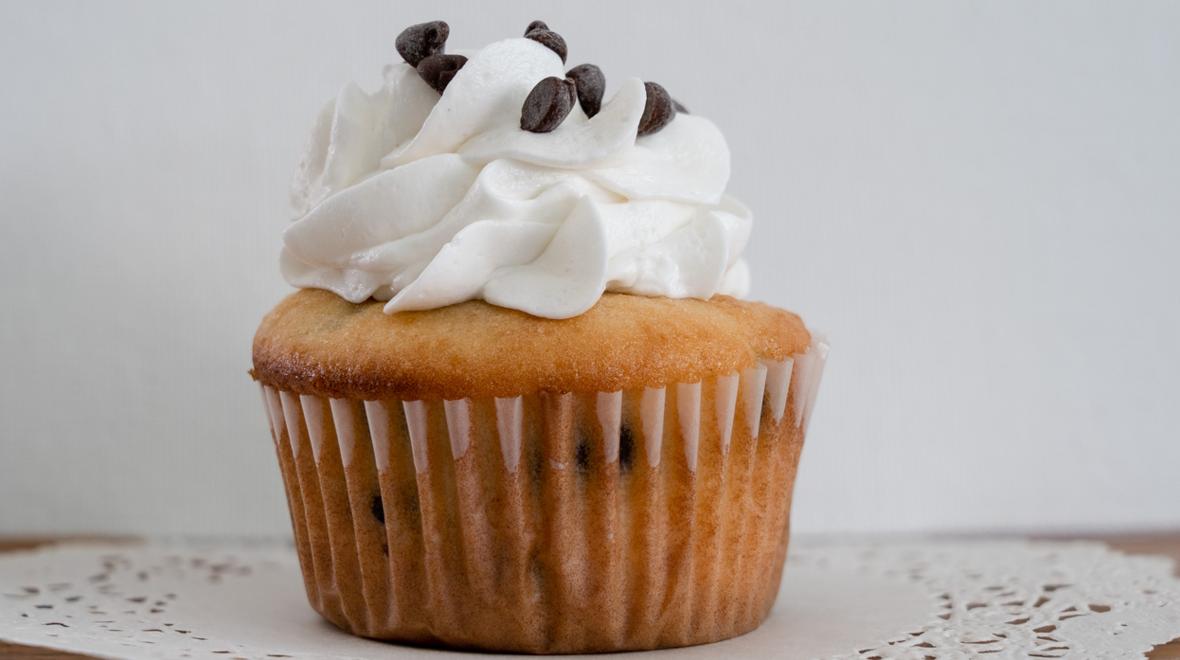 chocolate chip cupcake