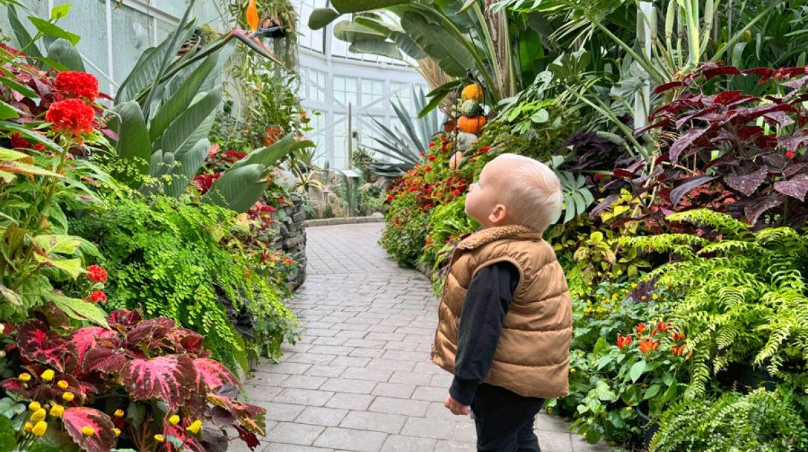 toddler on a nature walk through the conservatory at Wright Park