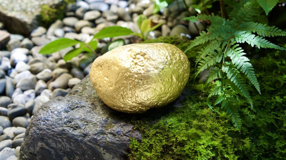 gold painted rock in a garden