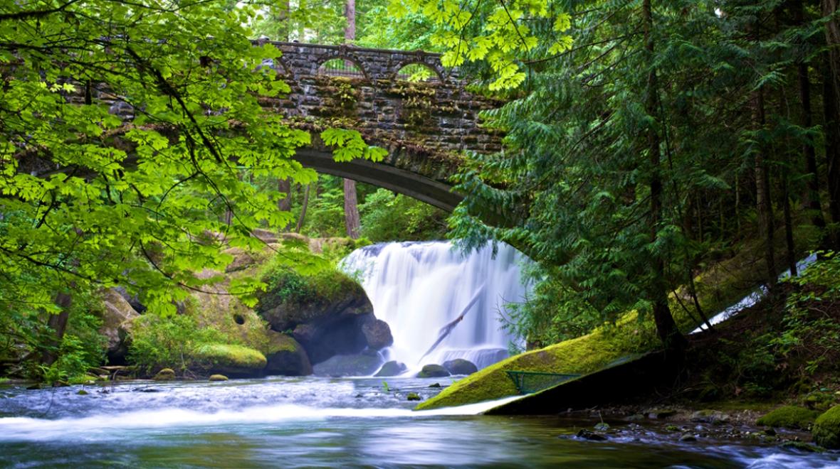 Whatcom Falls in Bellingham 