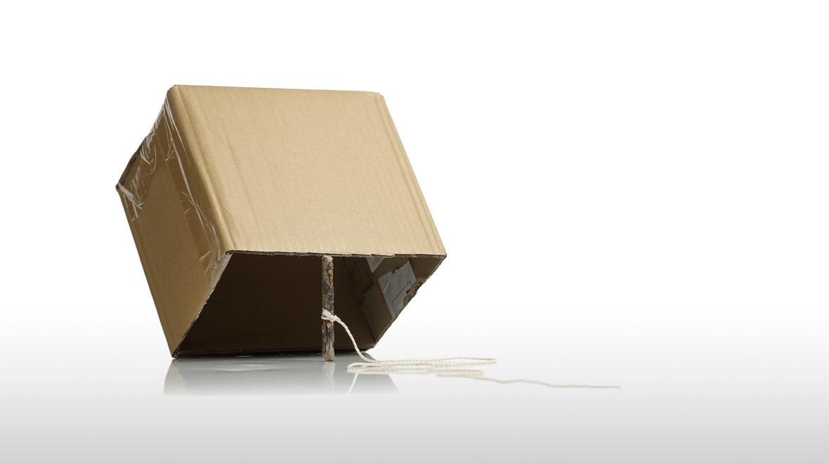 box with a stick holding it up