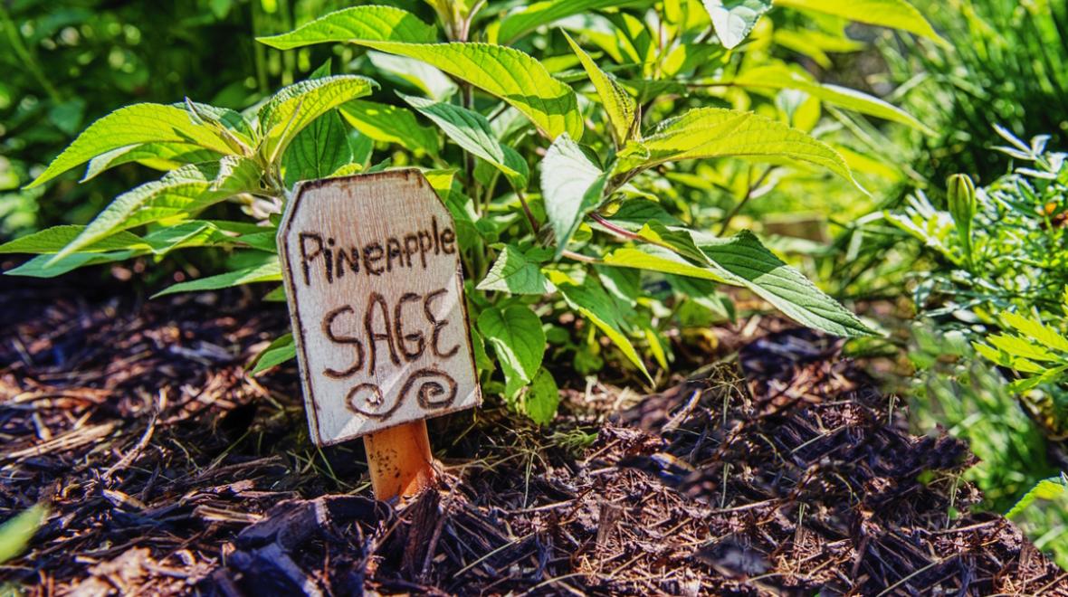 garden sign for a spring craft