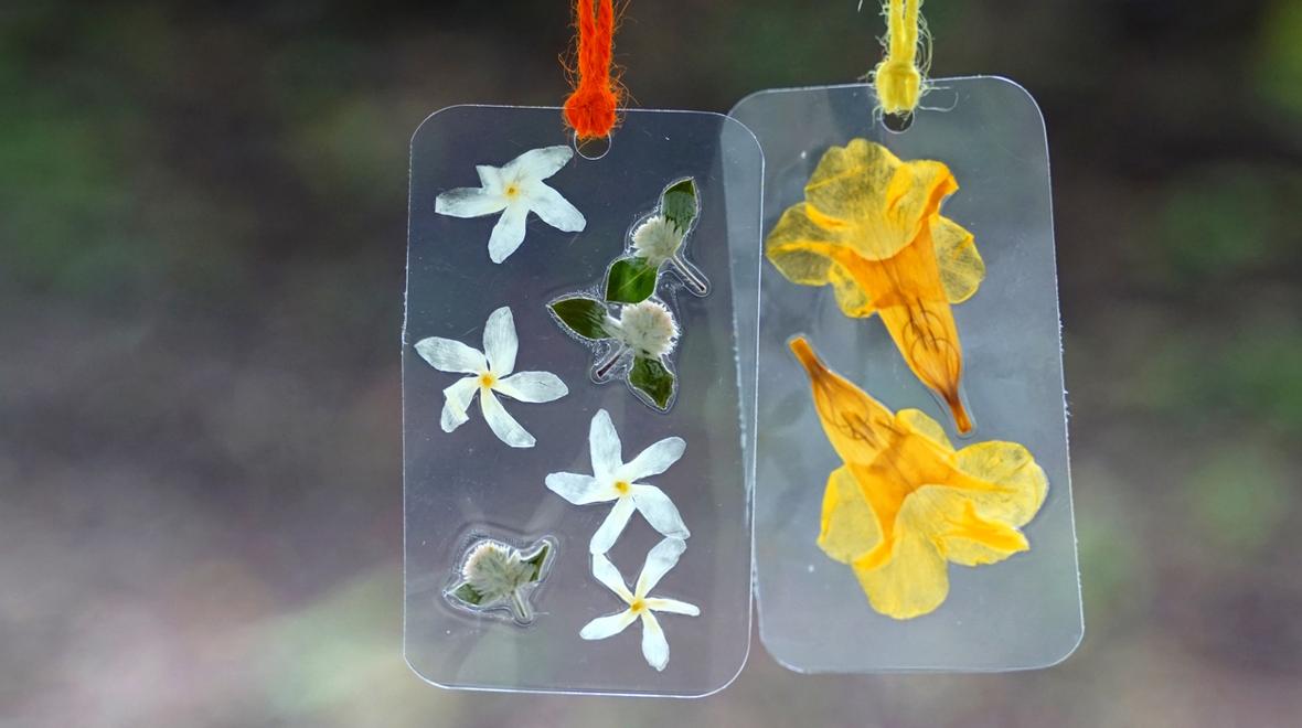 Pressed flowers suncatcher spring craft