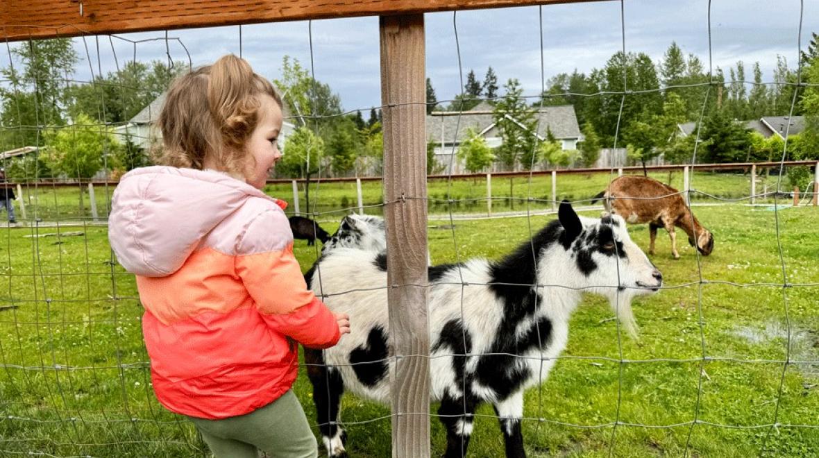 young girl petting goats at the produce market at Flower World