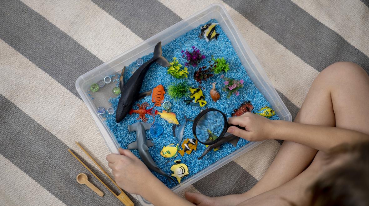beach sensory bin for a child to play with