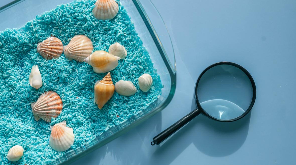 seashell activity tray