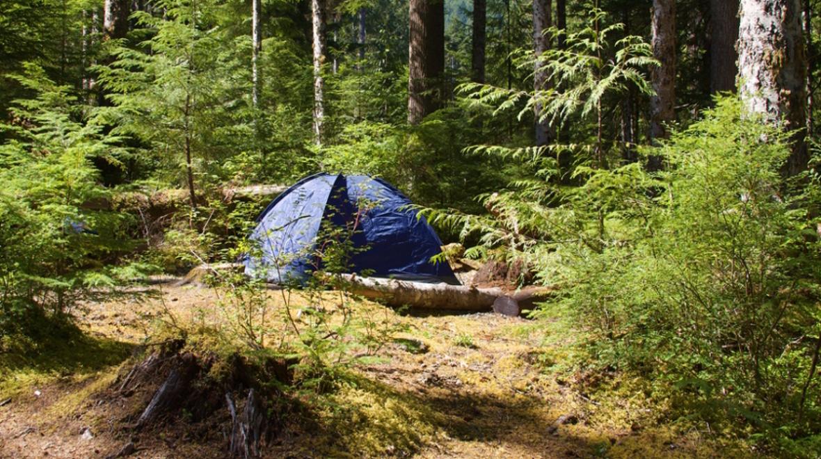tent camping in Olympic national park