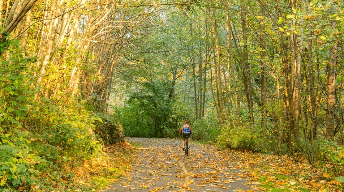 cyclist on the Des Moines Creek Trail with fall foliage