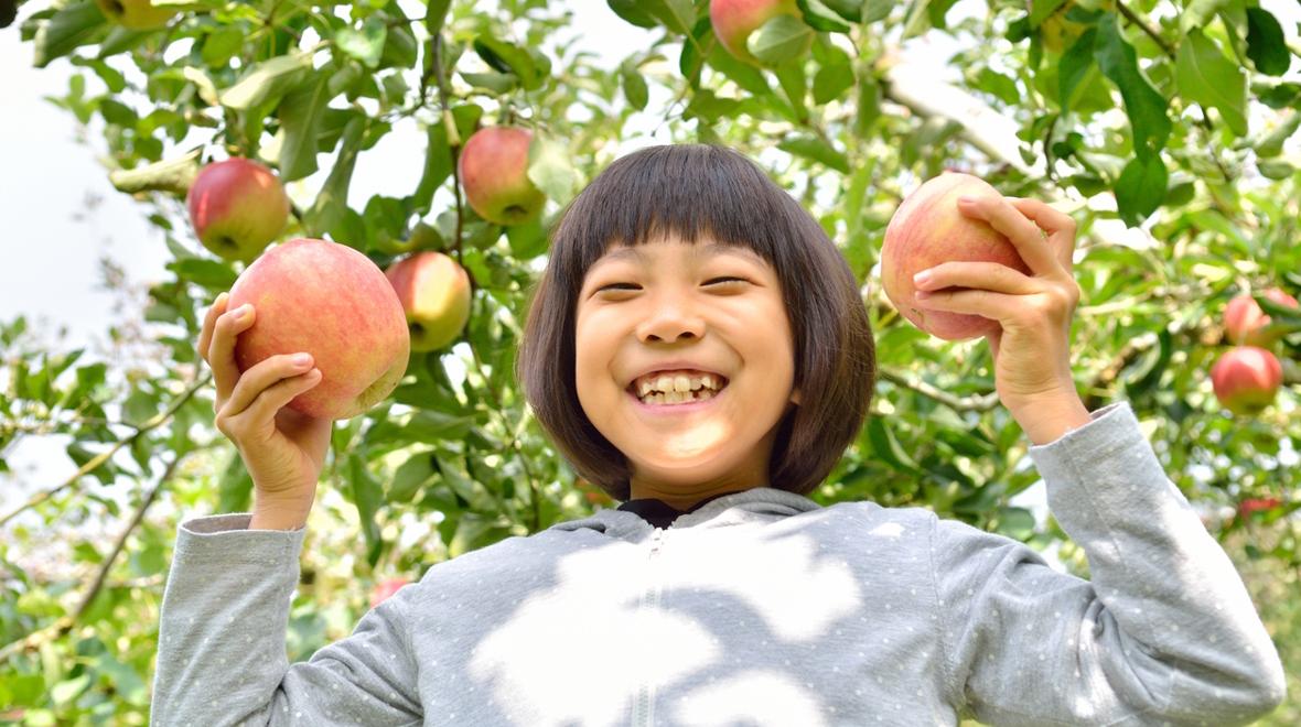 young girl in a tree picking apples and smiling