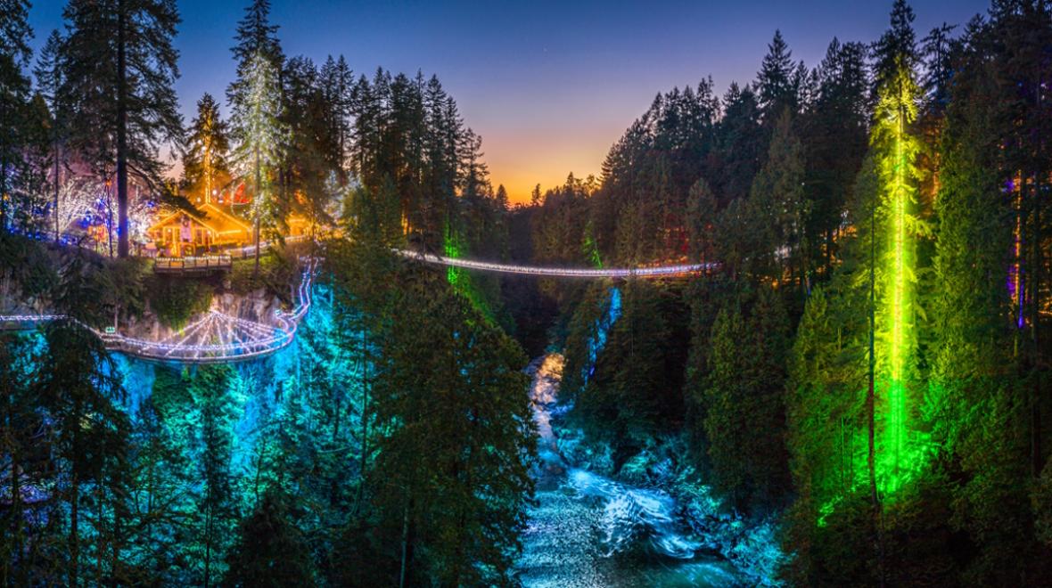 Canyon lights at Capilano Suspension bridge park