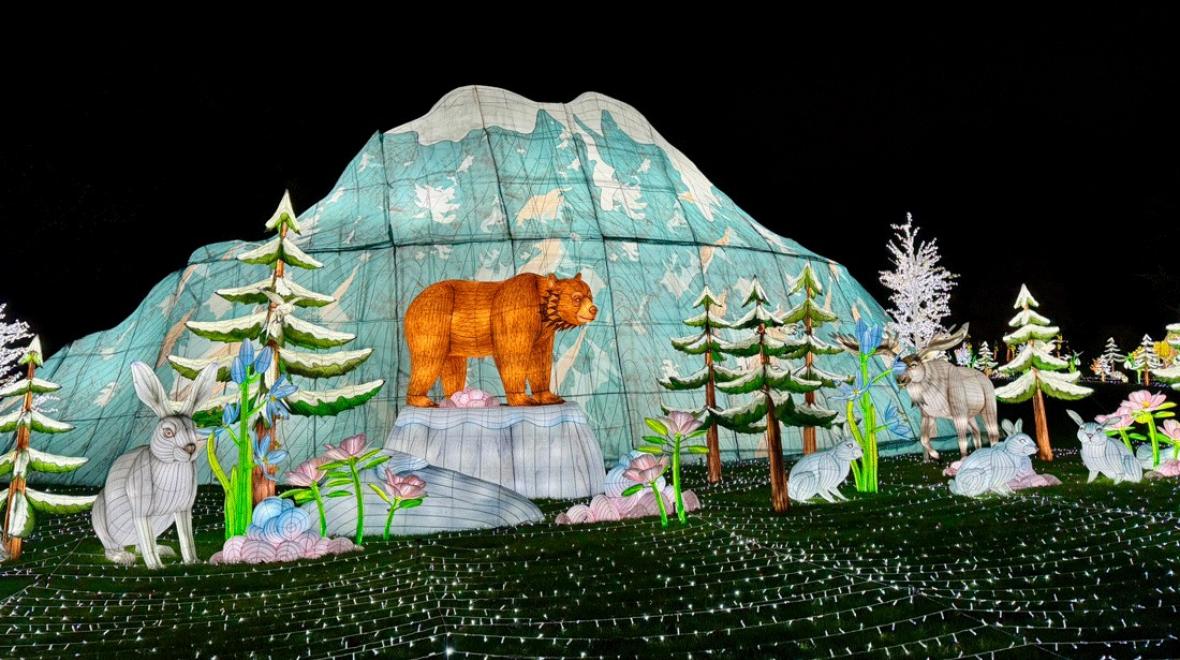 holiday light display at Woodland Park Zoo's WildLanterns with a mountain and snowy animal-filled scene